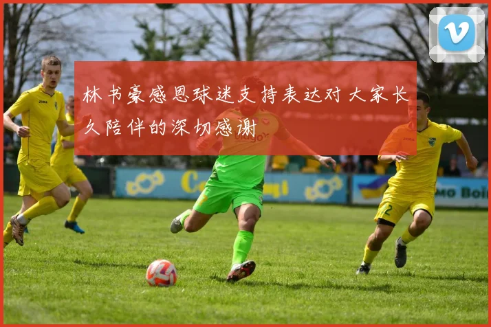 林书豪感恩球迷支持表达对大家长久陪伴的深切感谢