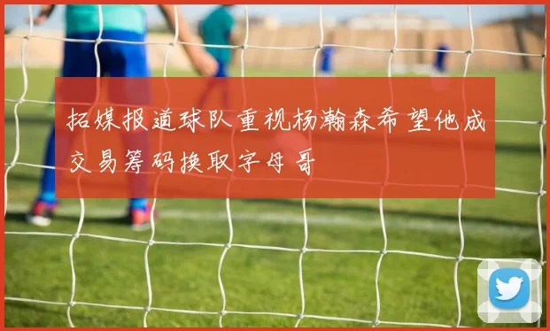 拓媒报道球队重视杨瀚森希望他成交易筹码换取字母哥