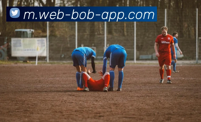 BOB体育APP 封面图
